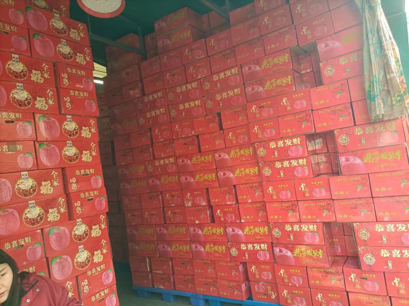 湖北泽升商贸有限公司：商贸业内的“绿洲”
